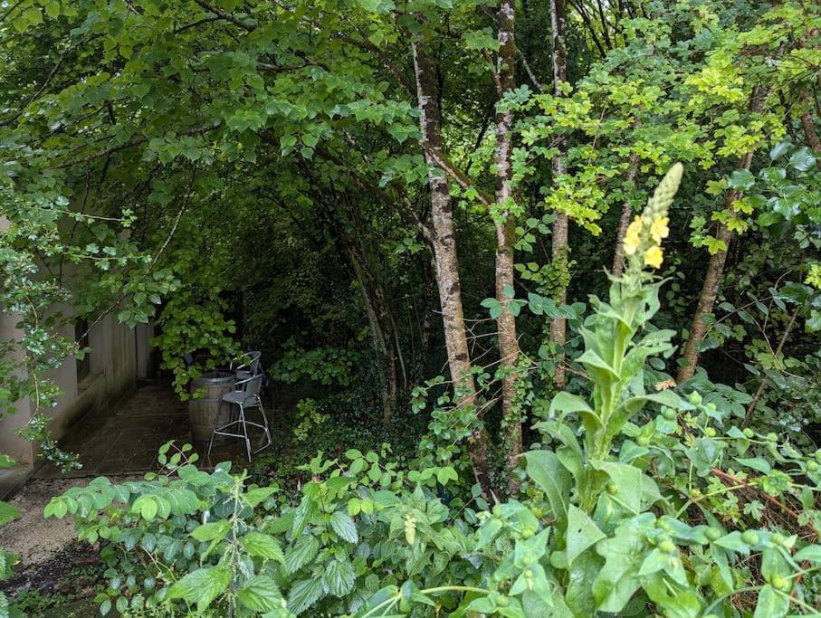 Gite Zen Dans Les Bois Blesignac Eksteriør bilde